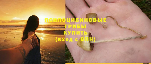 каннабис Горно-Алтайск