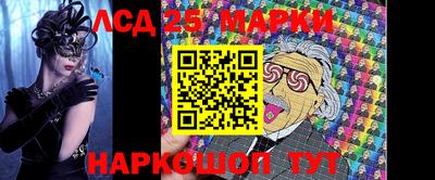 стаф Будённовск