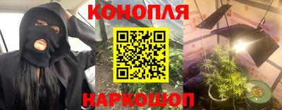 прущие грибы Волгодонск