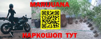 крисы Бузулук