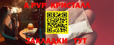 стаф Будённовск