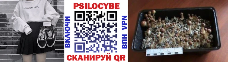 купить наркотики сайты  Десногорск  Галлюциногенные грибы мухоморы 