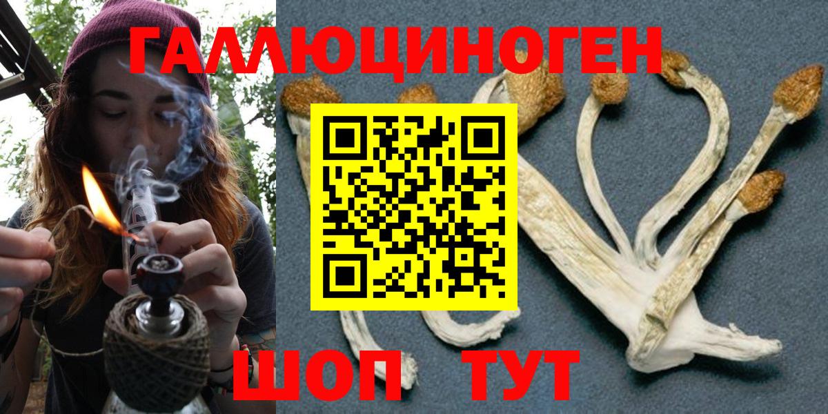 Галлюциногенные грибы Psilocybe  Десногорск  купить  сайты  Псилоцибиновые грибы MAGIC MUSHROOMS 