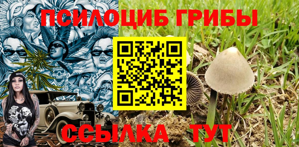 Псилоцибиновые грибы мицелий Десногорск