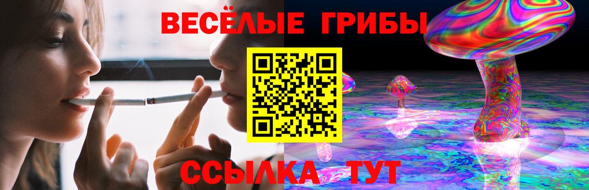 Десногорск  Псилоцибиновые грибы Cubensis  Вход с VPN 
